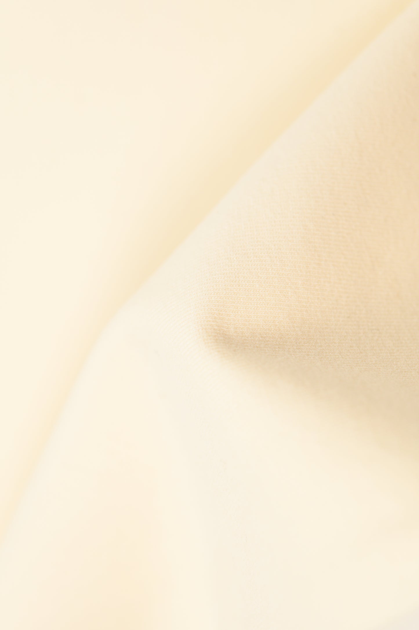 Bernie's Basics T-Shirt