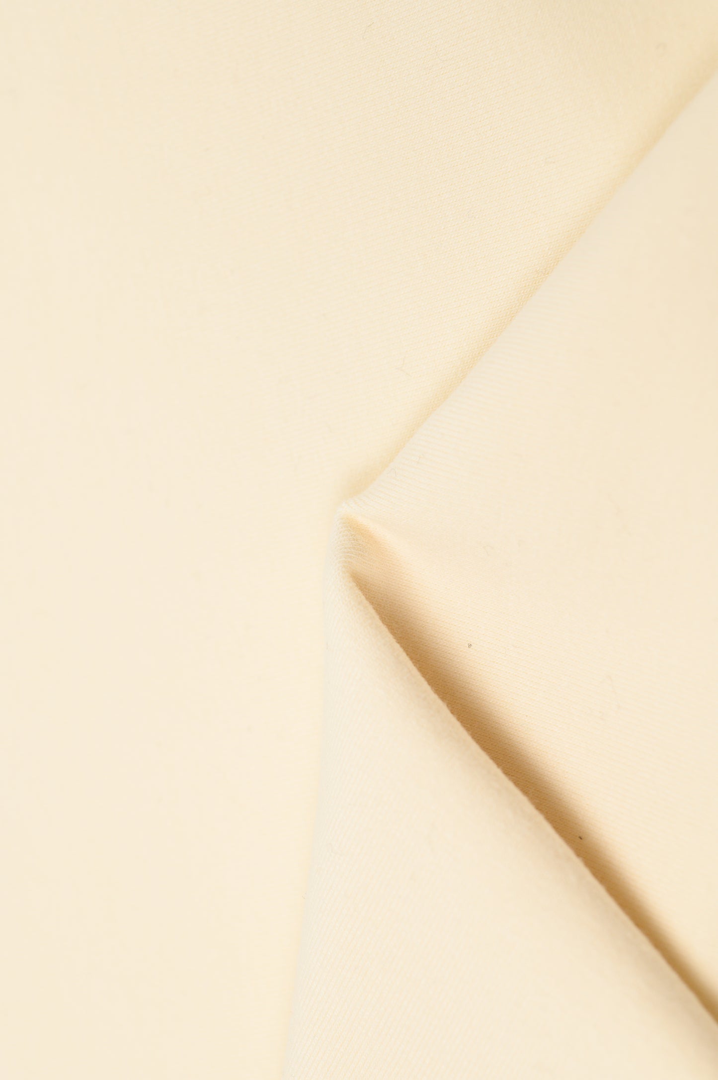 Bernie's Basics T-Shirt