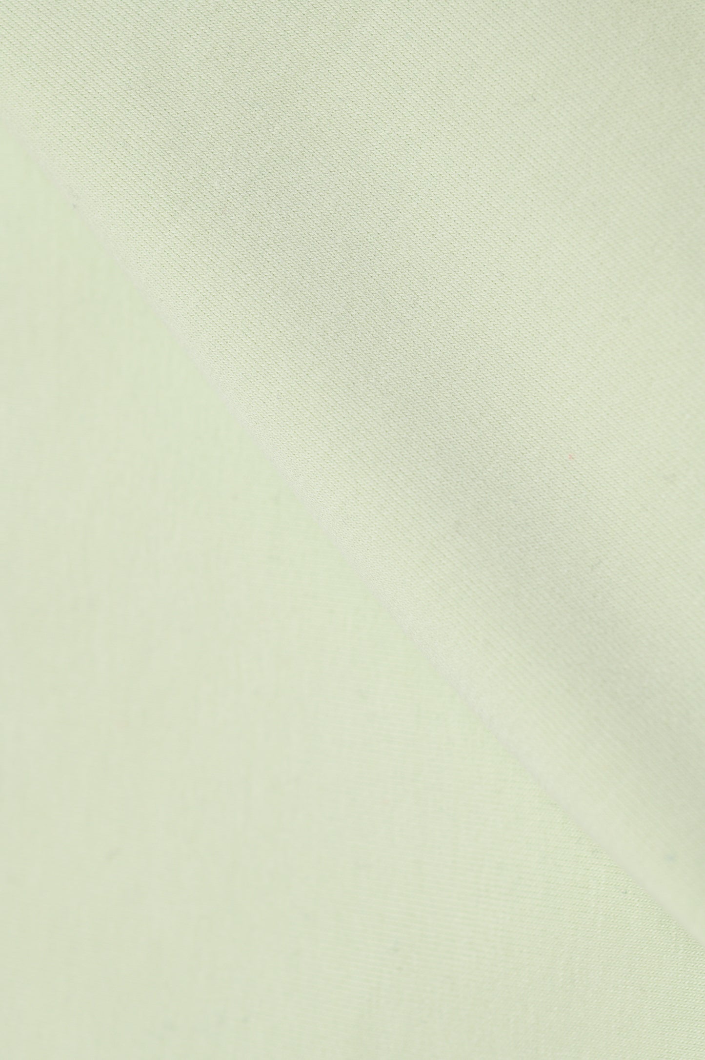 Bernie's Basics T-Shirt