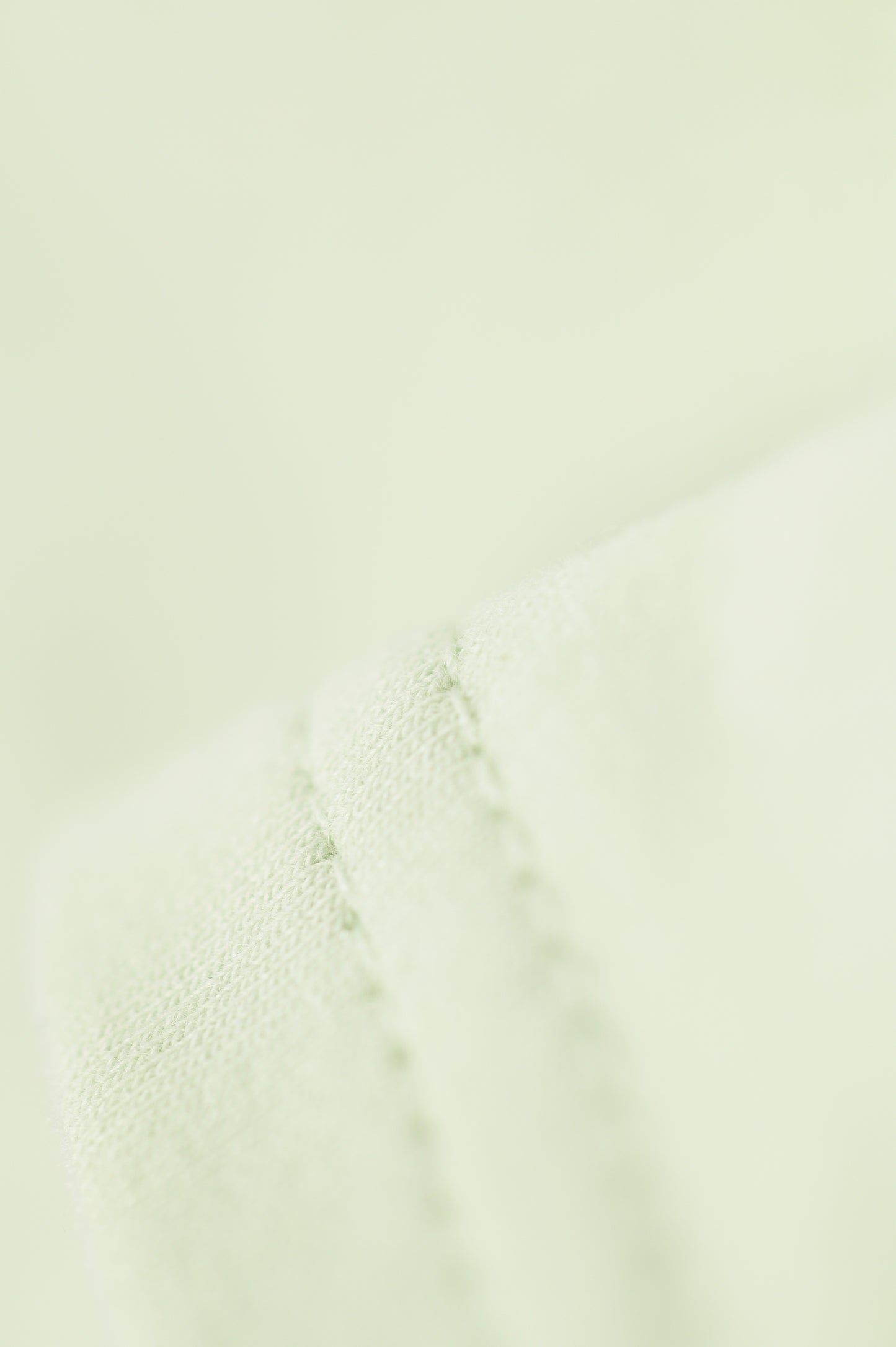 Bernie's Basics T-Shirt